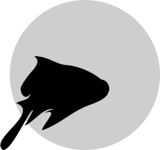 Redfin Logo
